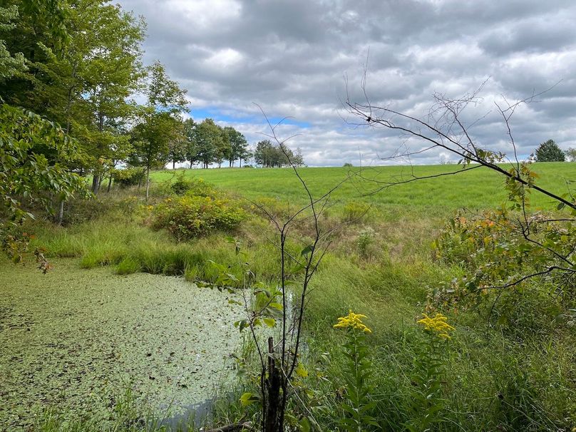 Schuyler_42.08_Austin Photo 32