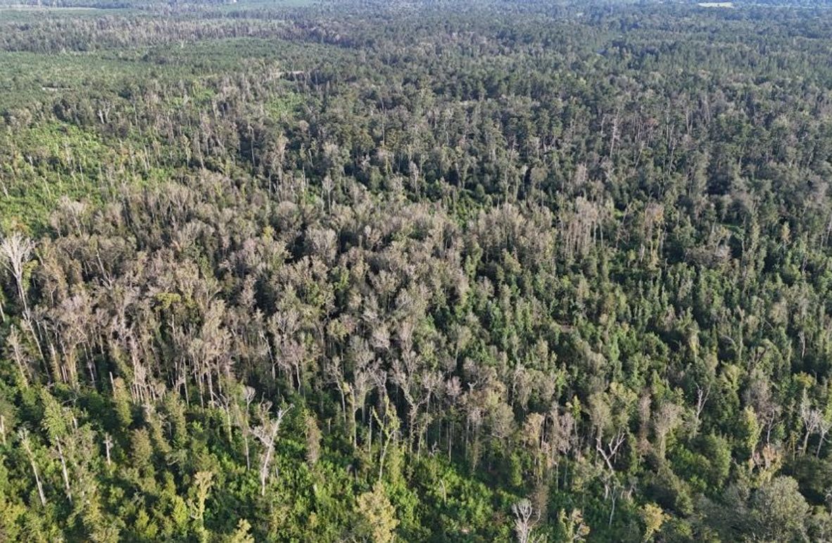 dji_fly_20250903_215806_0013_1756926961641_photo