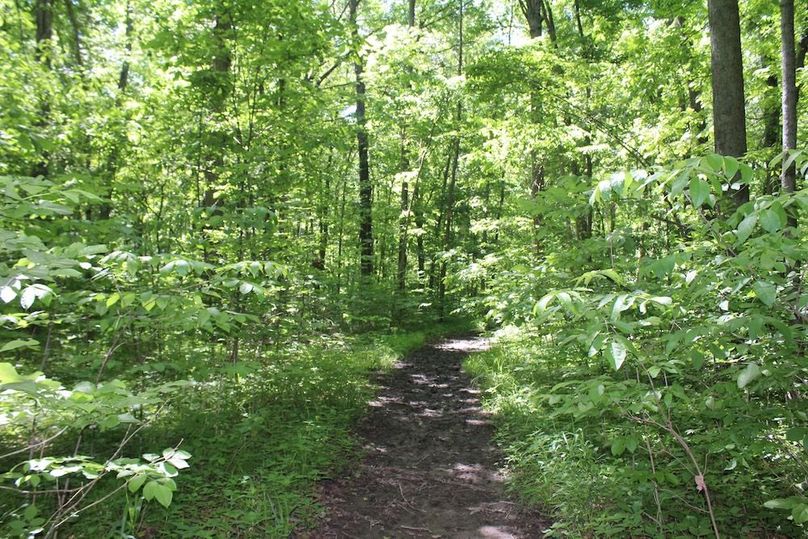 trail 27