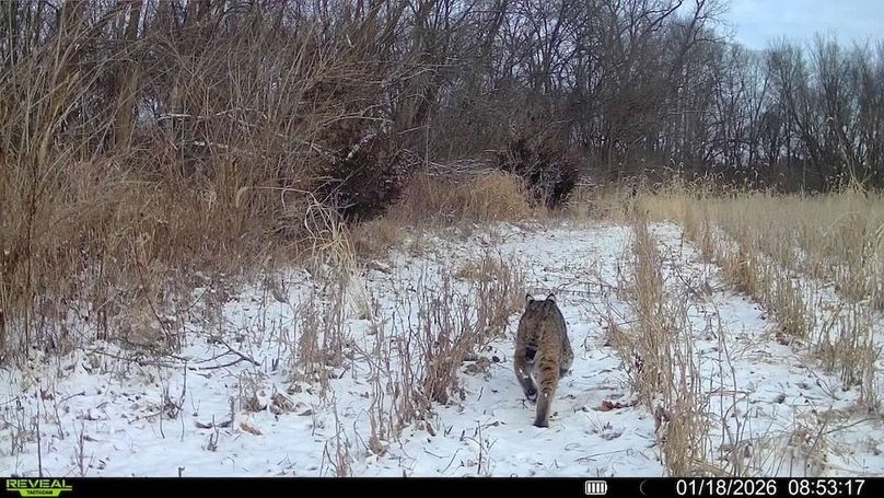 016579001744932-75-4-01182026085317-V-SYFW07402