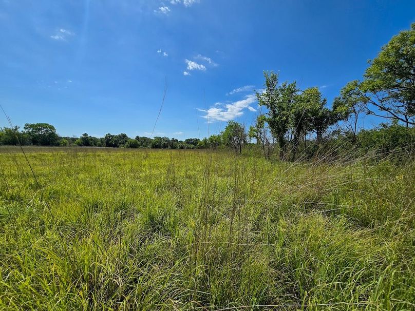 Copy of 20250729_113855