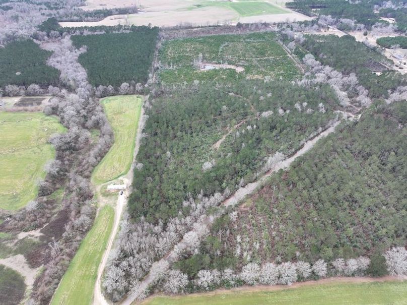 dji_fly_20260217_132048_0099_1771436915190_photo