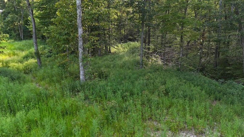 DJI_20250808180101_0767_D