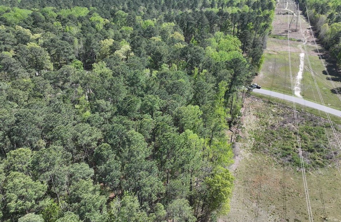 dji_fly_20260320_114932_0610_1776087142717_photo