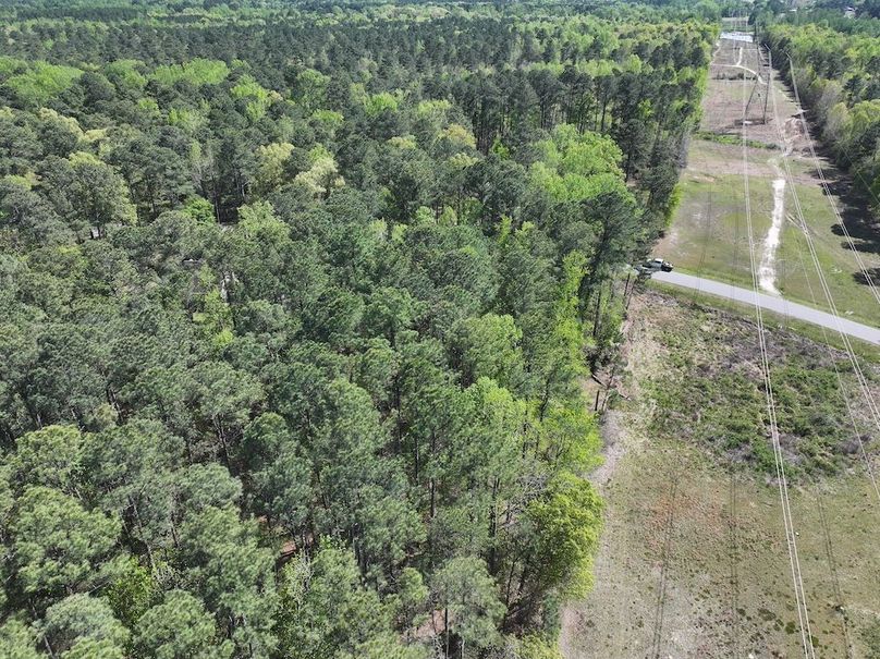 dji_fly_20260320_114932_0610_1776087142717_photo