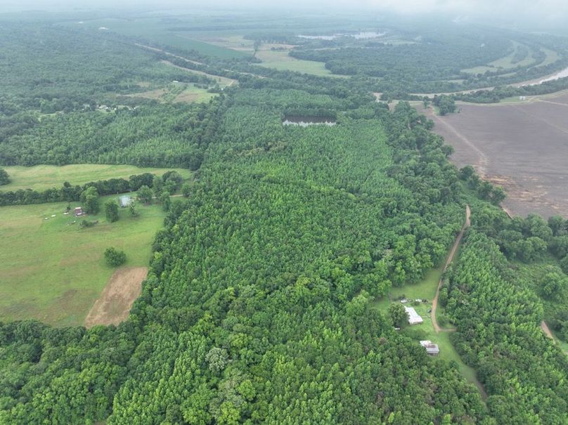 dji_fly_20260523_120036_475_1779631865828_photo