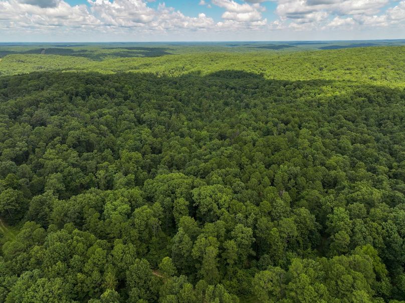 DJI_20250709130204_0426_D