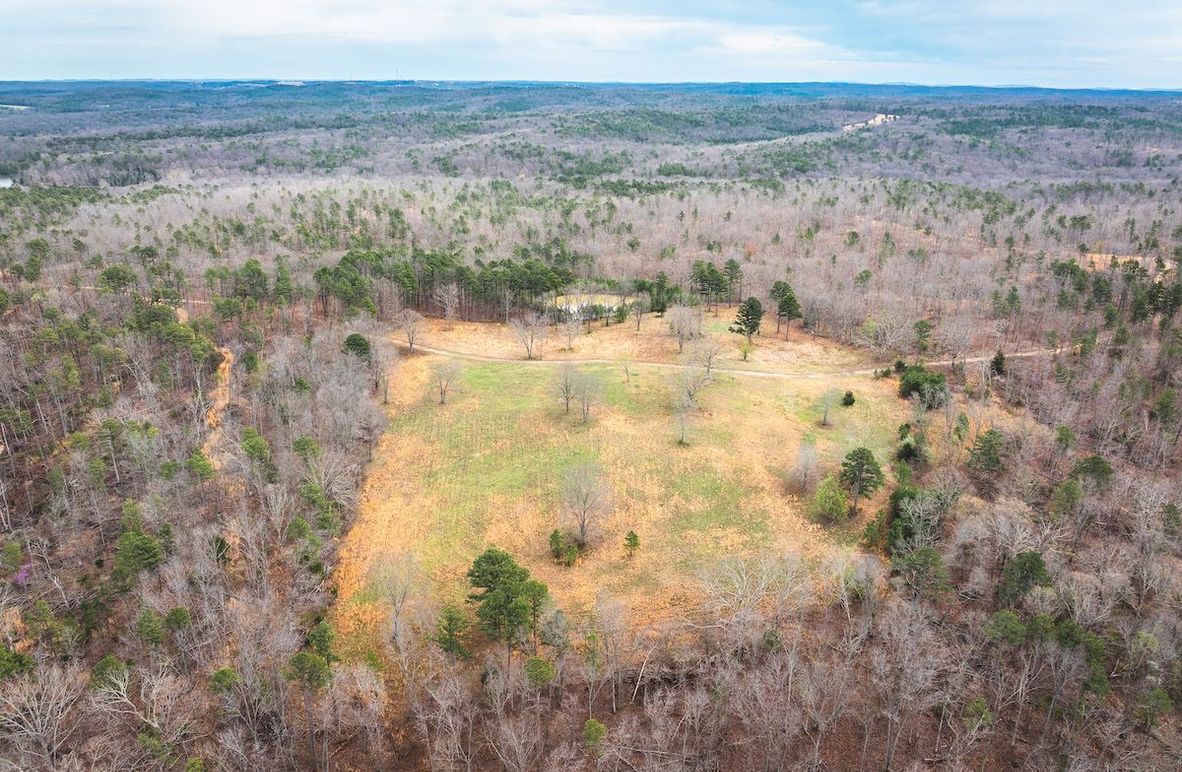 DJI_20250403120024_0554_D