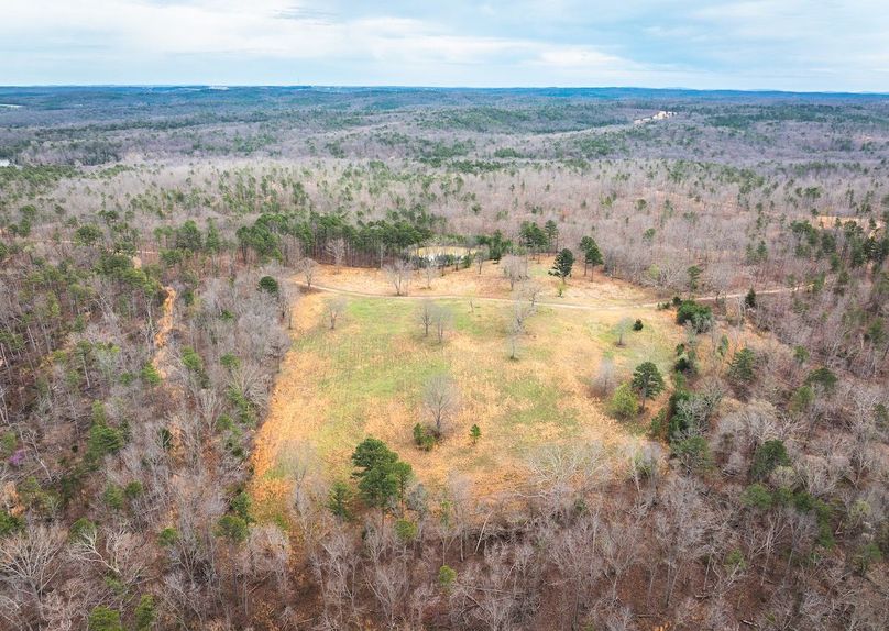 DJI_20250403120024_0554_D