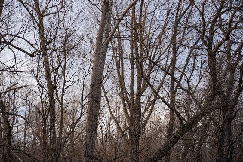 3605 Big Hill Rd.-100