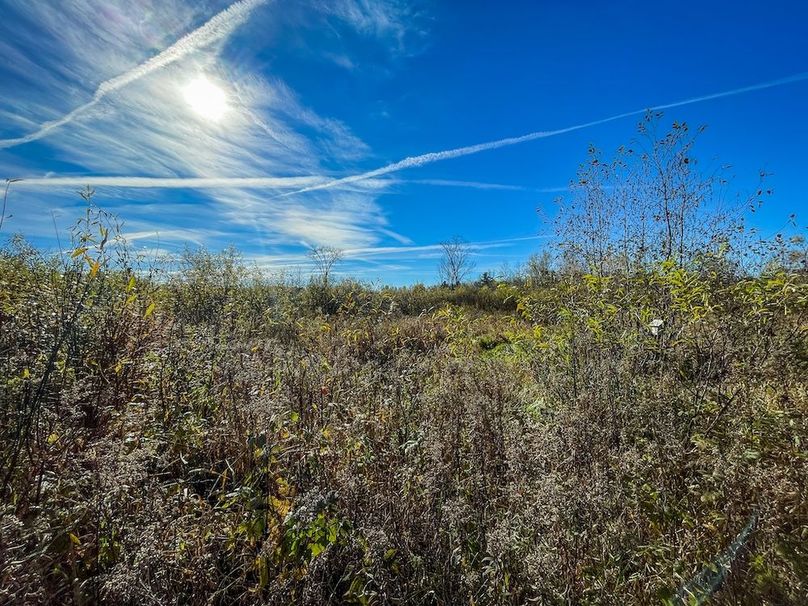 Clark 24.75 Winkel -37