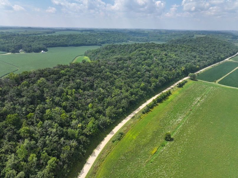 Goodhue 78.81 New -09