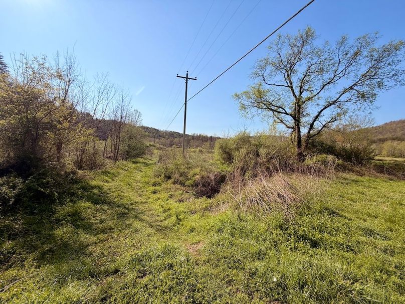 Scott Co TN 286 Keeton_066