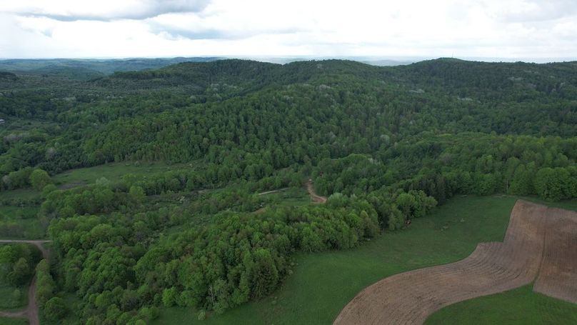 dji_fly_20250515_130604_251_1747328875345_photo