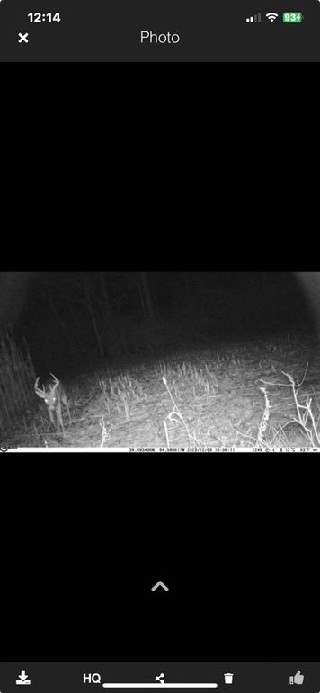 Screenshot_2023-12-23_at_12.14.23â¯PM