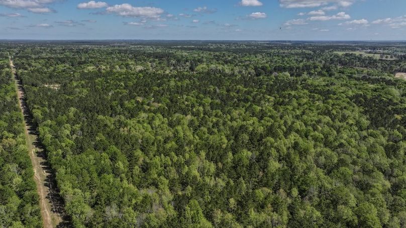 DJI_20260327115750_0043_D