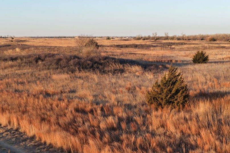 DJI_20260311082657_0540_D