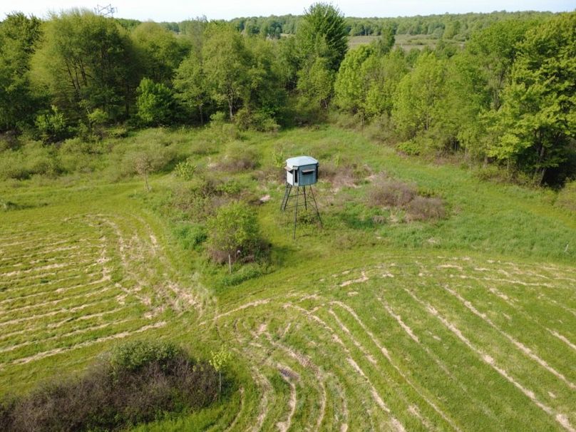 DJI_0304