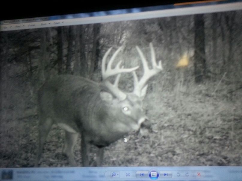 98DC9E5D-BE72-496F-8727-47115383D148