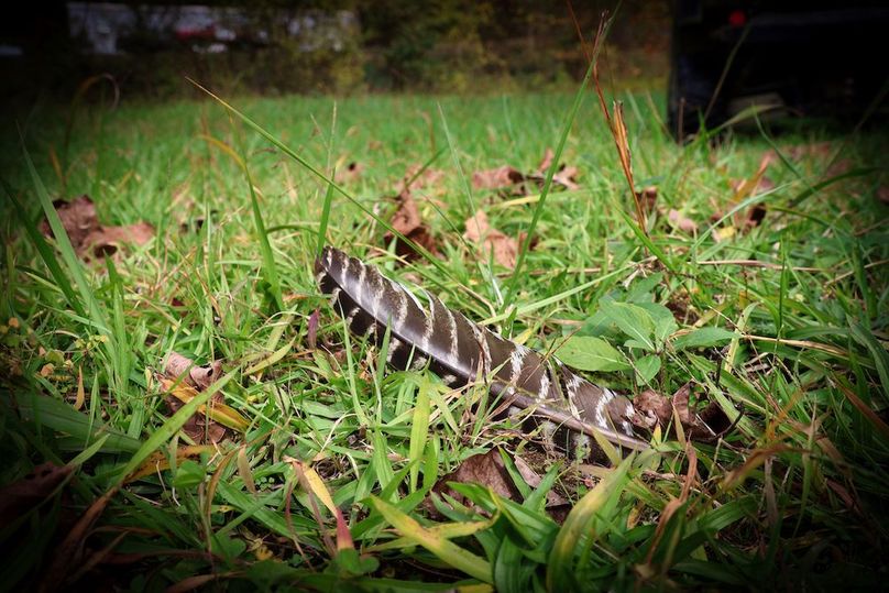 024 abundance of Eastern Turkey