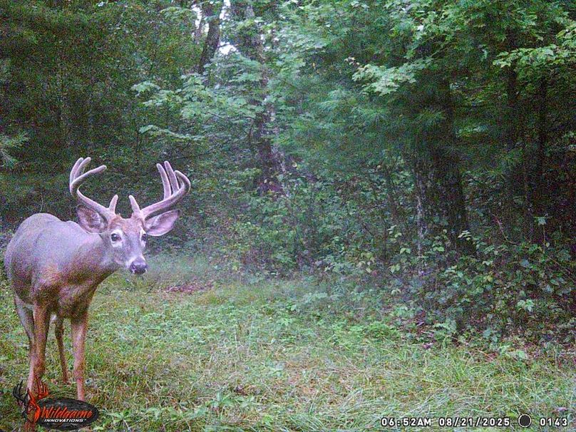 Adams 263.17, Hale -81