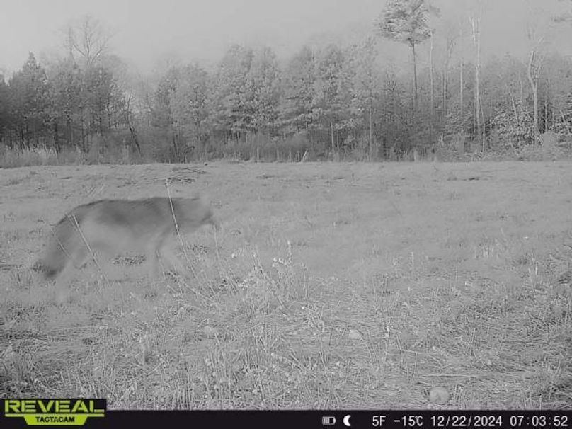 862515041600028-50-5-12222024070352-W1000617