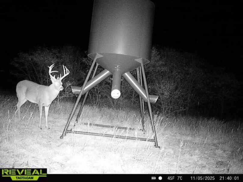 865977050266538-100-4-11052025214000-W1000800