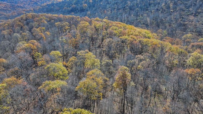 Somerset, 10.91, Tinkey-10