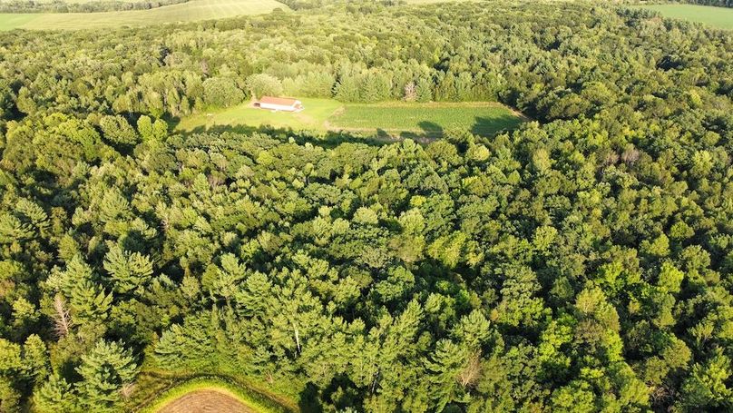 dji_fly_20240811_190034_723_1723420843348_photo_optimized