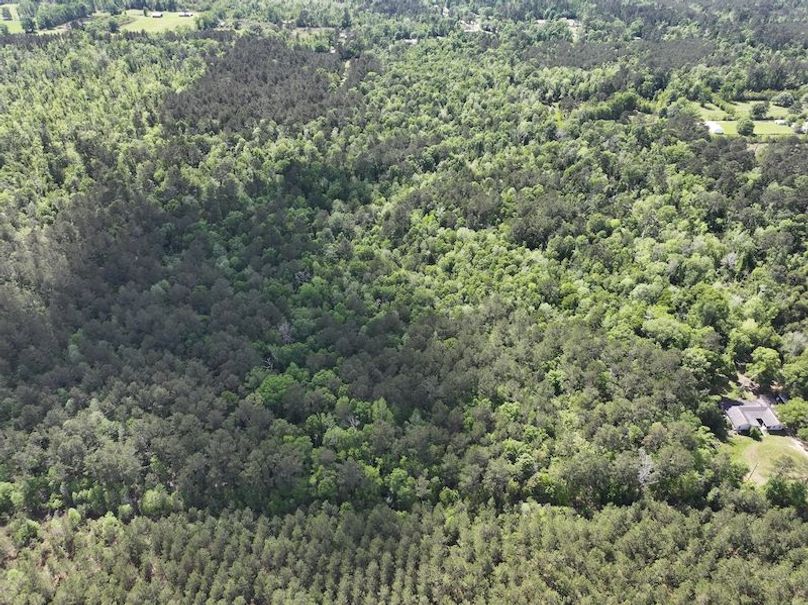 dji_fly_20260408_140634_0065_1776086823304_photo