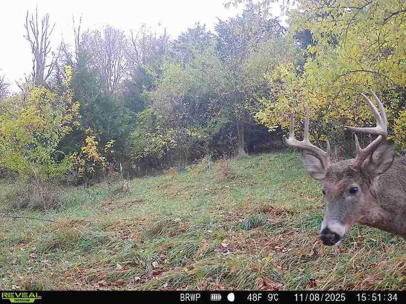 860322065924133-100-4-11082025155134-W1000697