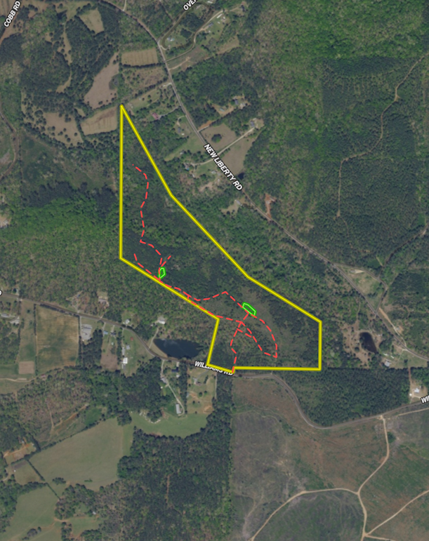 Screenshot 2026-04-21 at 3.25.00 PM