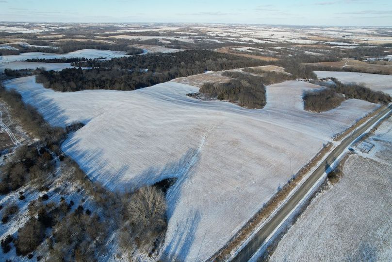 DJI_0431