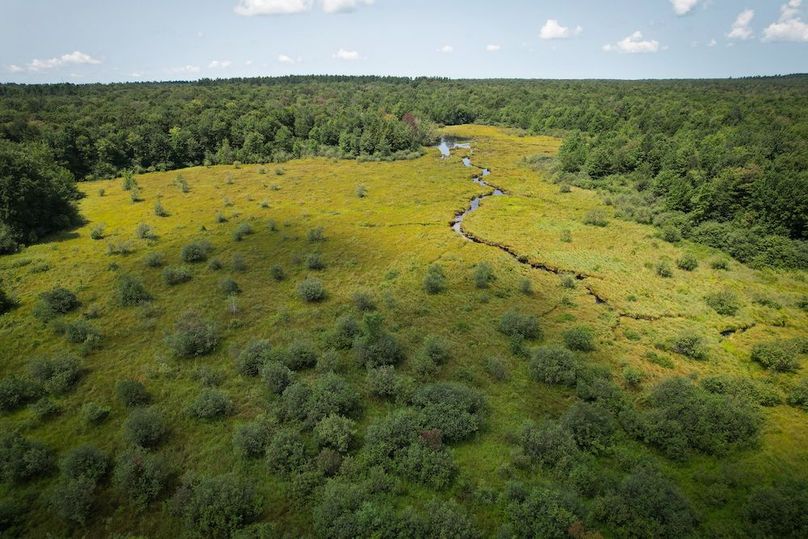 Oswego_100_Roof_Photos_29