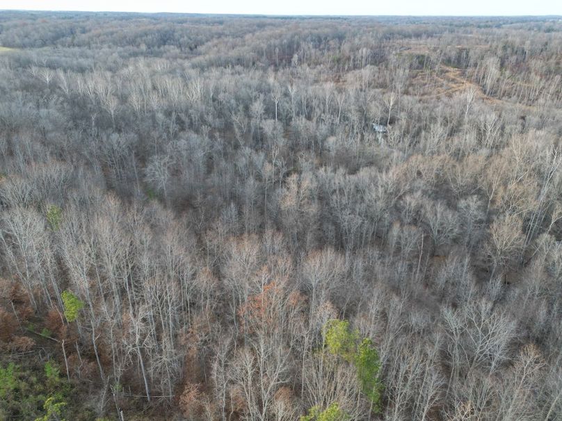 dji_fly_20231130_052156_256_1701905206531_photo