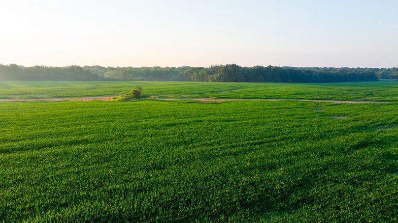 Copy of DJI_20250807175625_0030_D Large