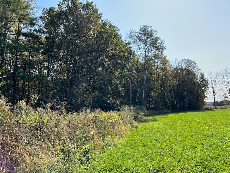 Yates_29_Stape Photo 6