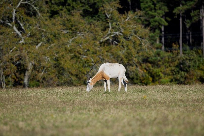 08 harrison 417ac pics-076