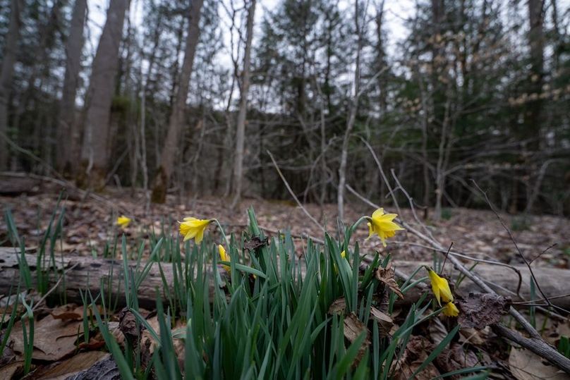 Somerset, 20, Hostetler-34