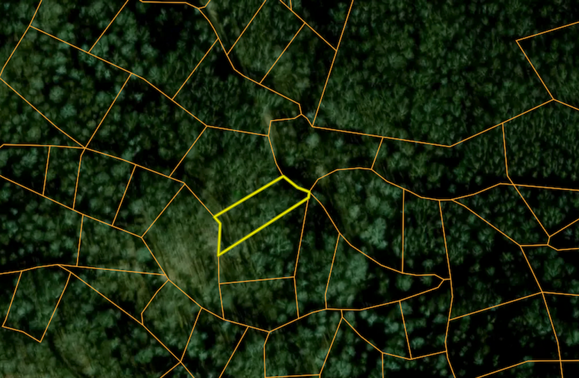 Screenshot 2025-03-19 at 9.56.31 AM