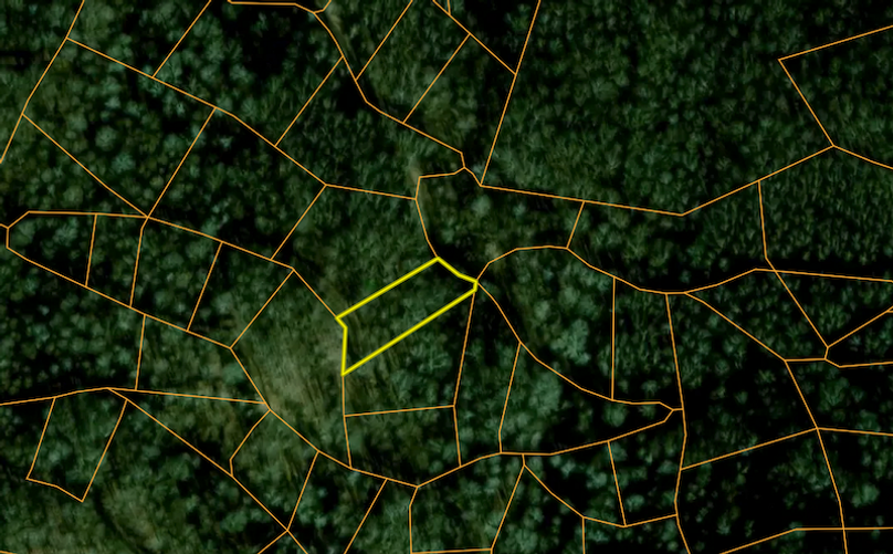 Screenshot 2025-03-19 at 9.56.31 AM