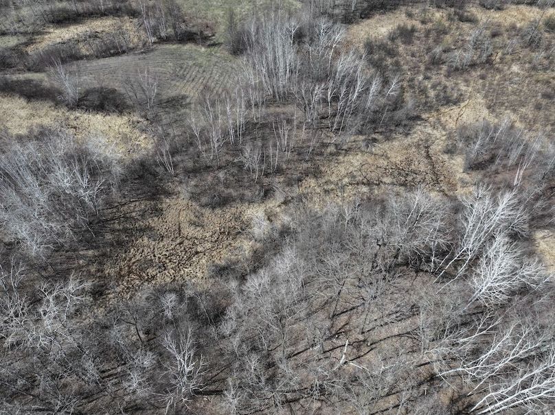 dji_fly_20260428_160020_0785_1777474358678_photo