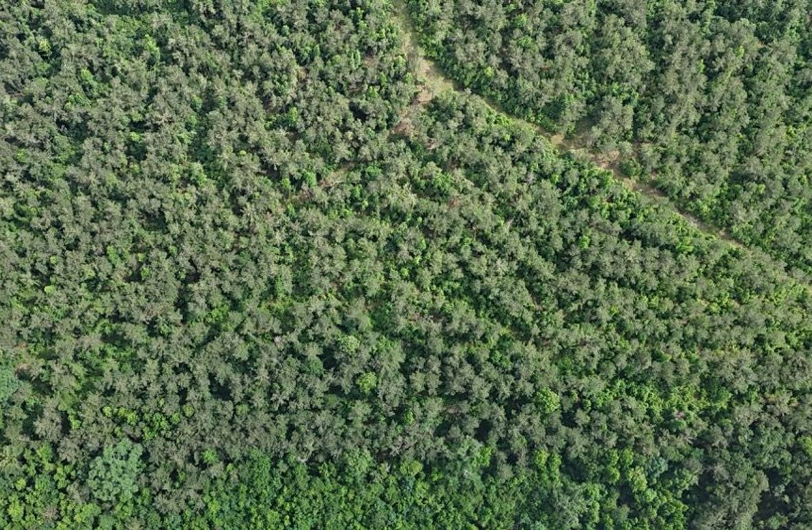 DJI_20260605044624_0064_D
