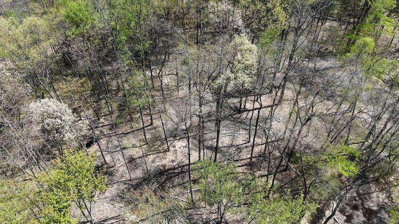 DJI_20250423130839_0422_D