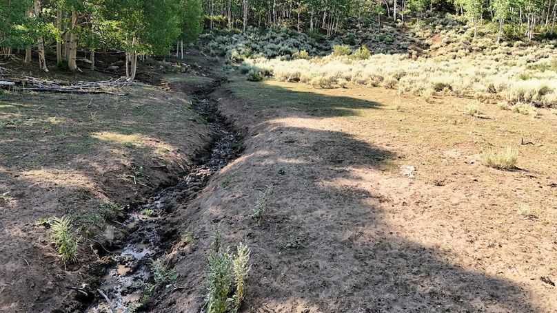 DJI_20250726170037_0083_D