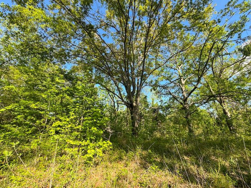 Tallahatchie 44 Newman (Crowden) Wide-12