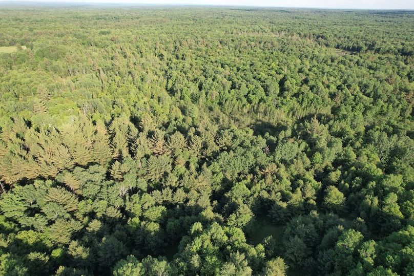 Jefferson_260.3_ Lobach_Photos_51