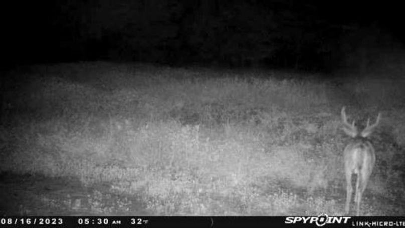 trail cam2