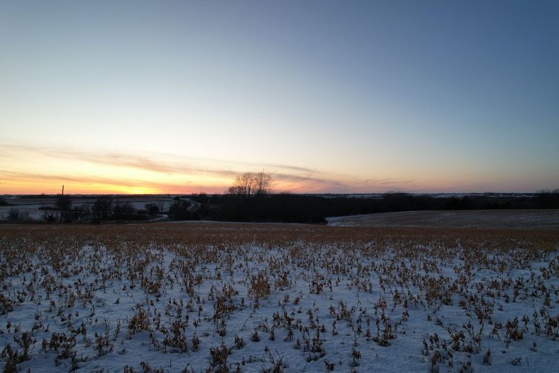 DJI_0567
