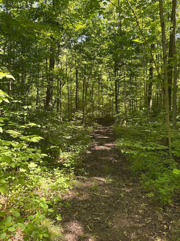 trail 15